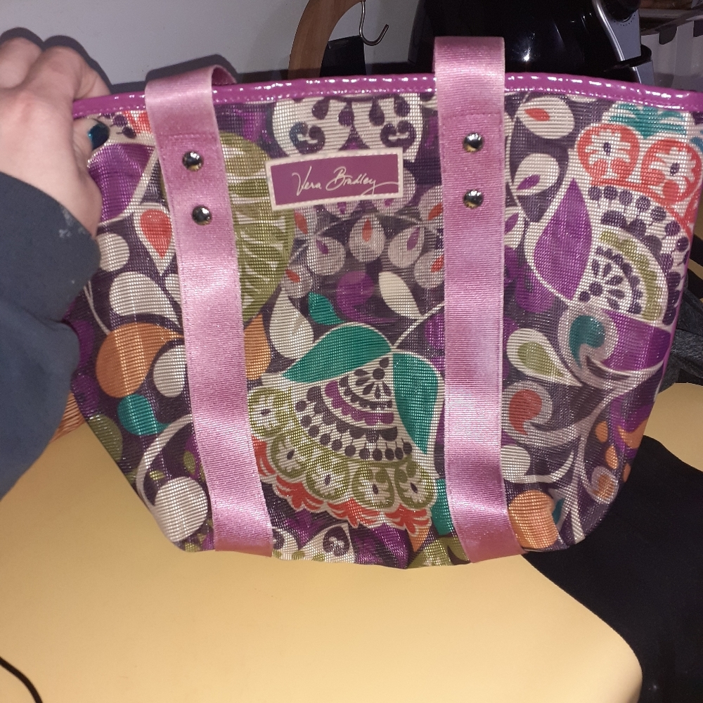 Plum Crazy Small Mesh Tote
